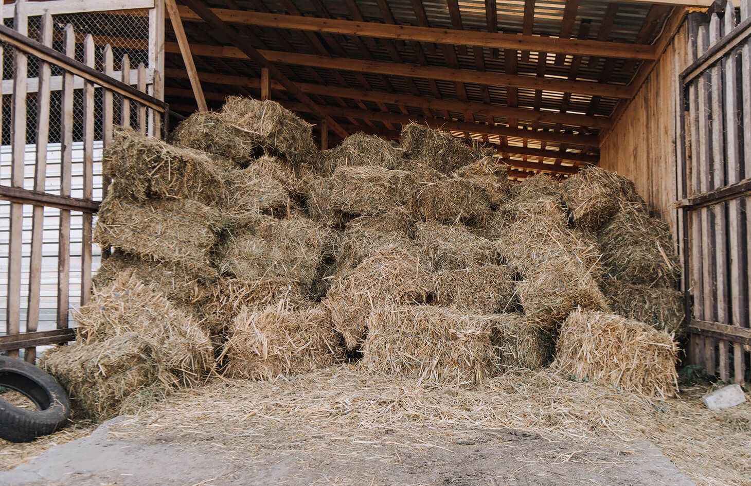 Nettoyages d'infrastructures agricoles